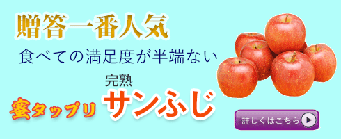 贈答一番人気　樹上完熟サンふじ