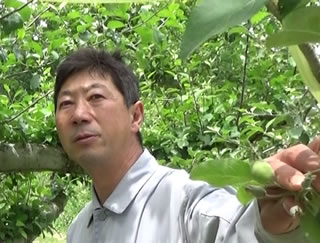 りんごに目いっぱいの愛情を注ぐ「りんごのまるじ」代表　三ツ井俊次