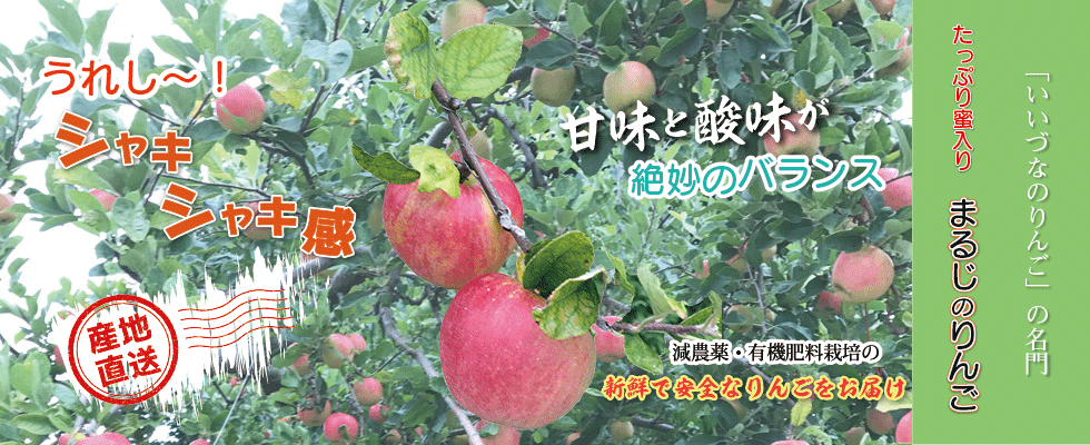 うれしいシャキシャキ感と甘未と酸味が絶妙なバランスの「まるじ」の
りんごを産地直送します。