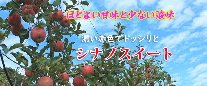 ほどよい甘味と少ない酸味のシナノスイート