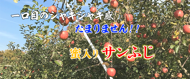 甘味タップリ「サンふじ」